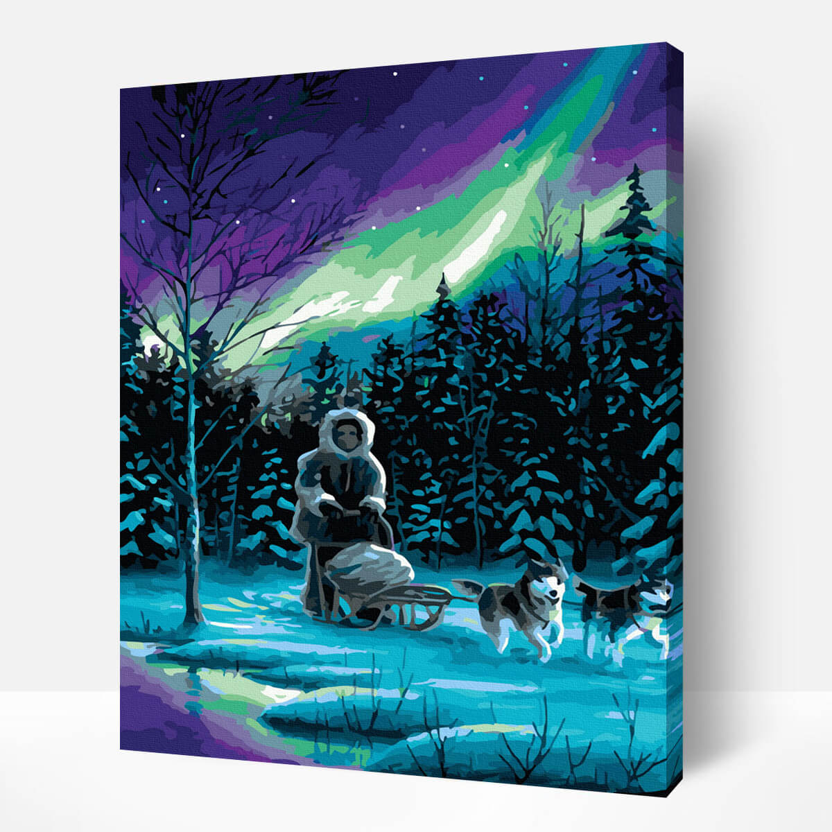Schilderen-op-nummer-volwassenen-painting-by-number-northern-light