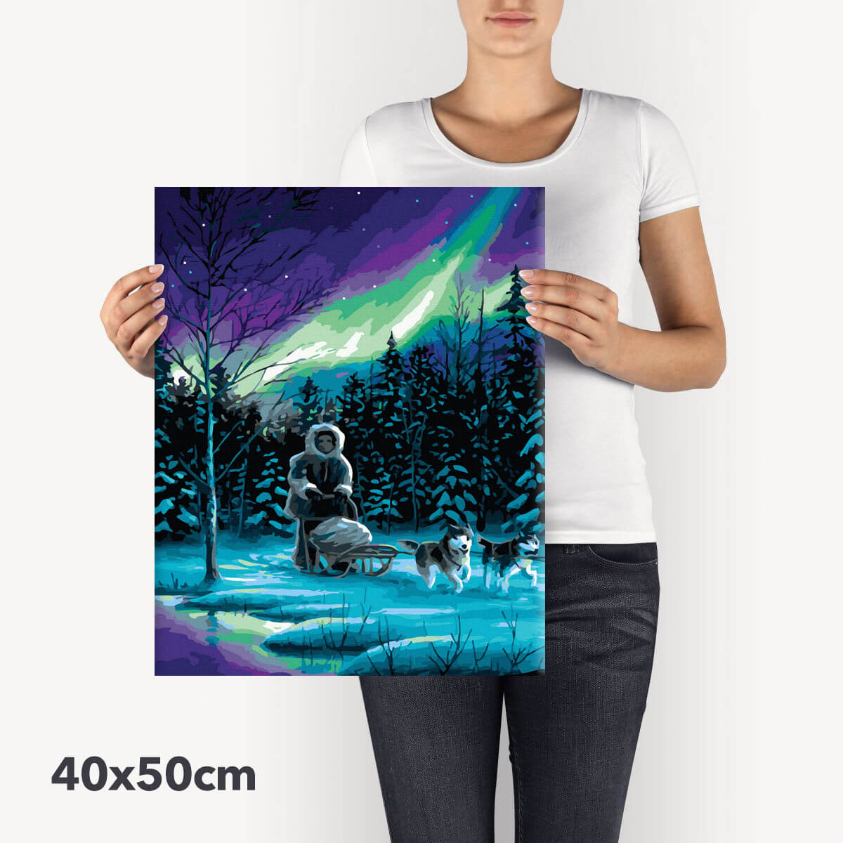 Schilderen-op-nummer-volwassenen-painting-by-number-northern-light