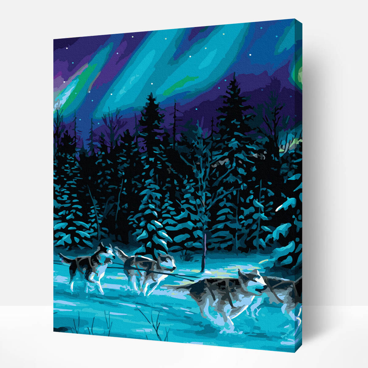 Schilderen-op-nummer-volwassenen-painting-by-number-northern-light