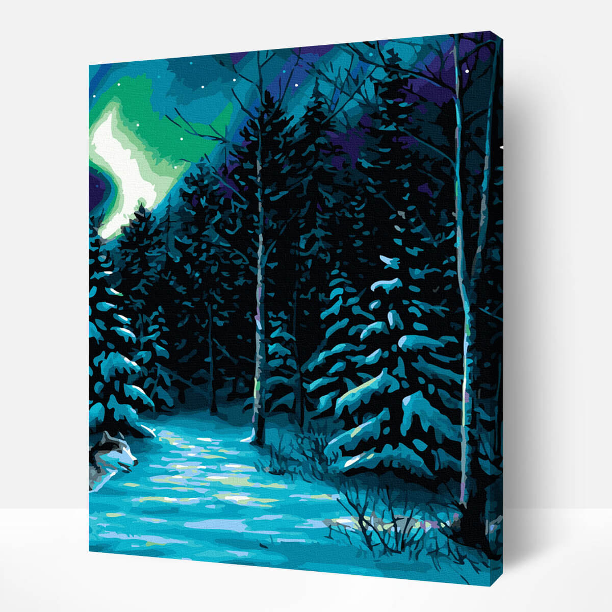 Schilderen-op-nummer-volwassenen-painting-by-number-northern-light