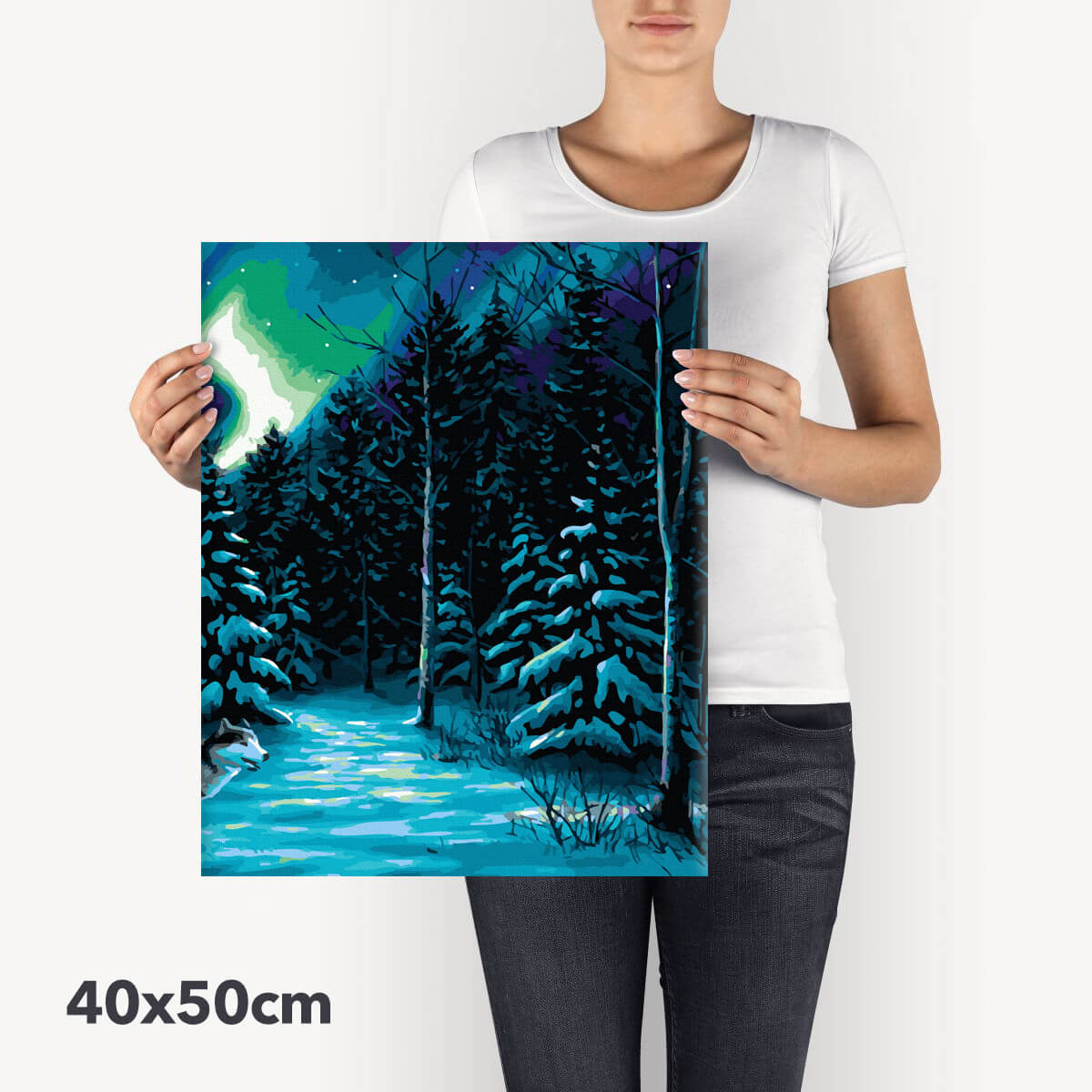 Schilderen-op-nummer-volwassenen-painting-by-number-northern-light