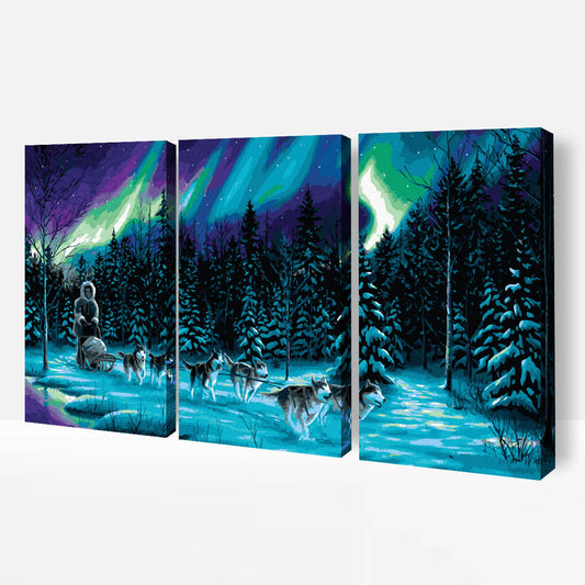 Schilderen-op-nummer-volwassenen-painting-by-number-northern-light