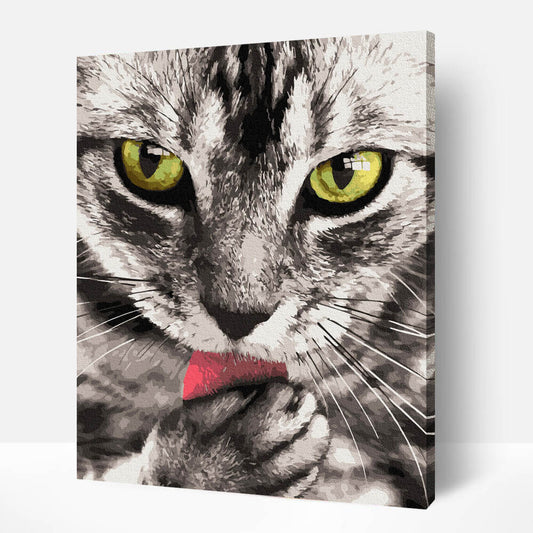 Schilderen-op-nummer-volwassenen-painting-by-number-kat-poes