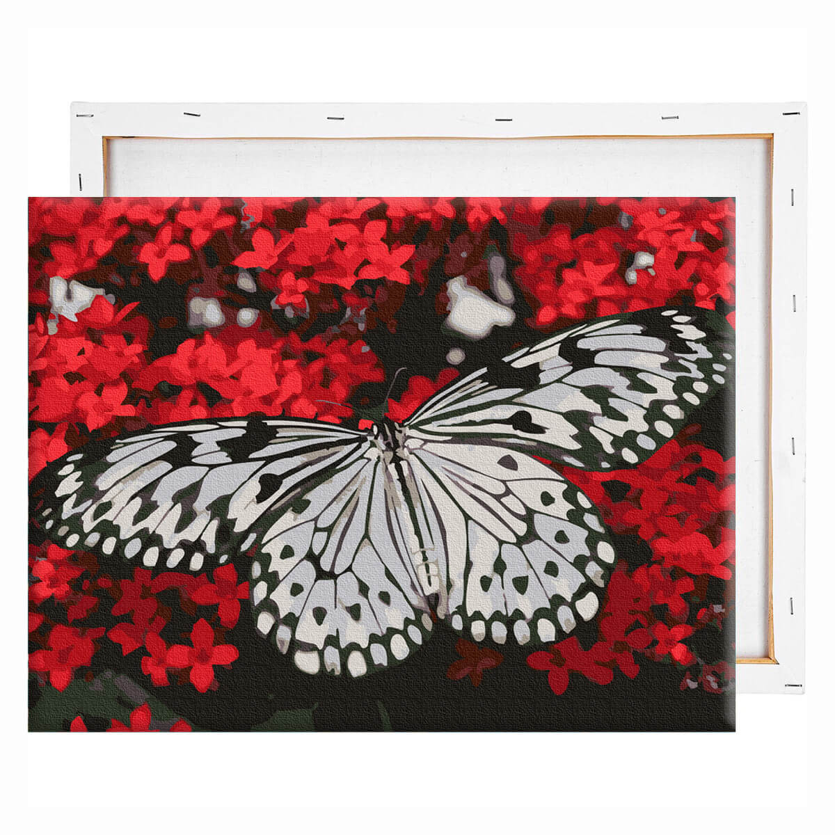 schilderen-op-nummers-painting-by-numbers-zwart-witte-vlinder