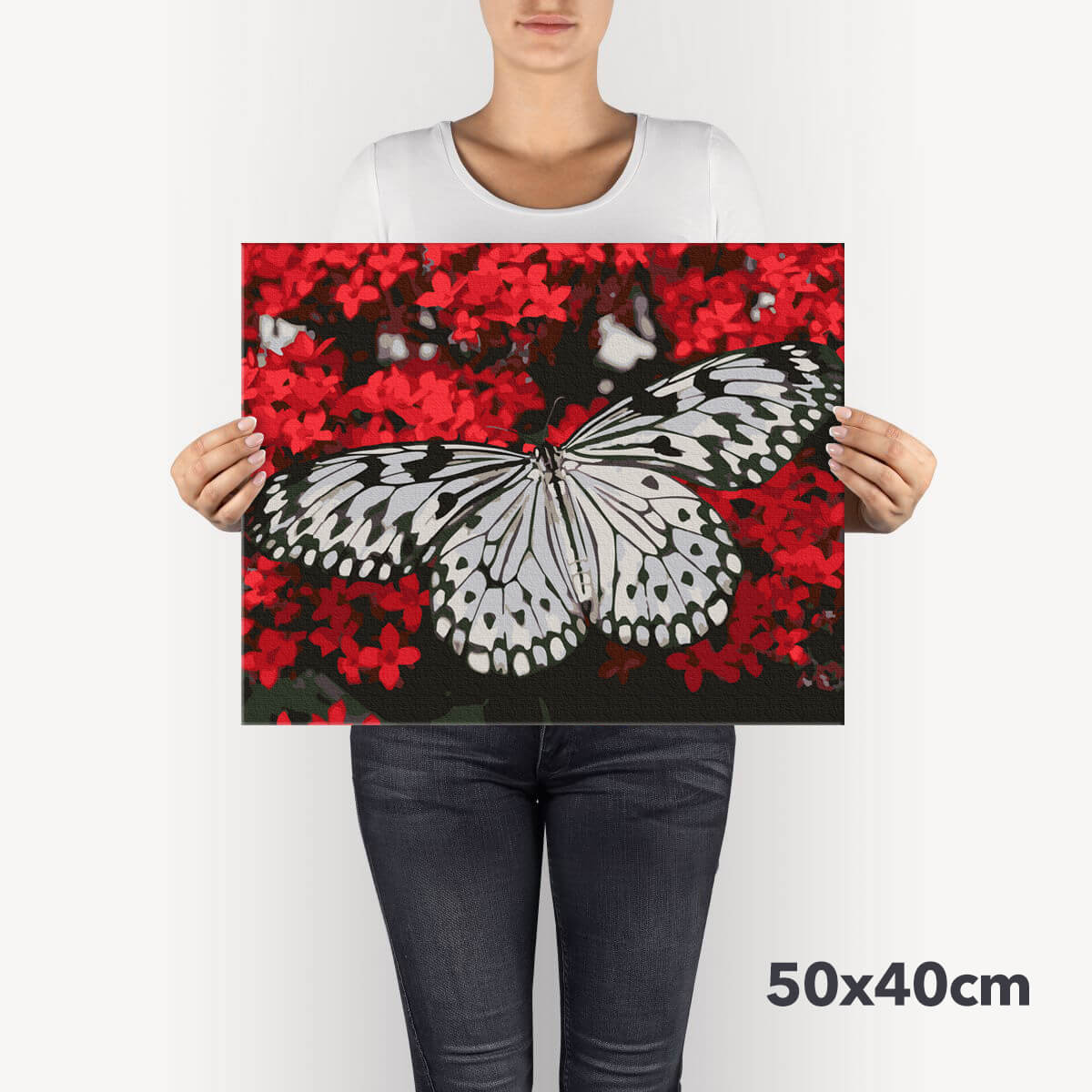 schilderen-op-nummers-painting-by-numbers-zwart-witte-vlinder