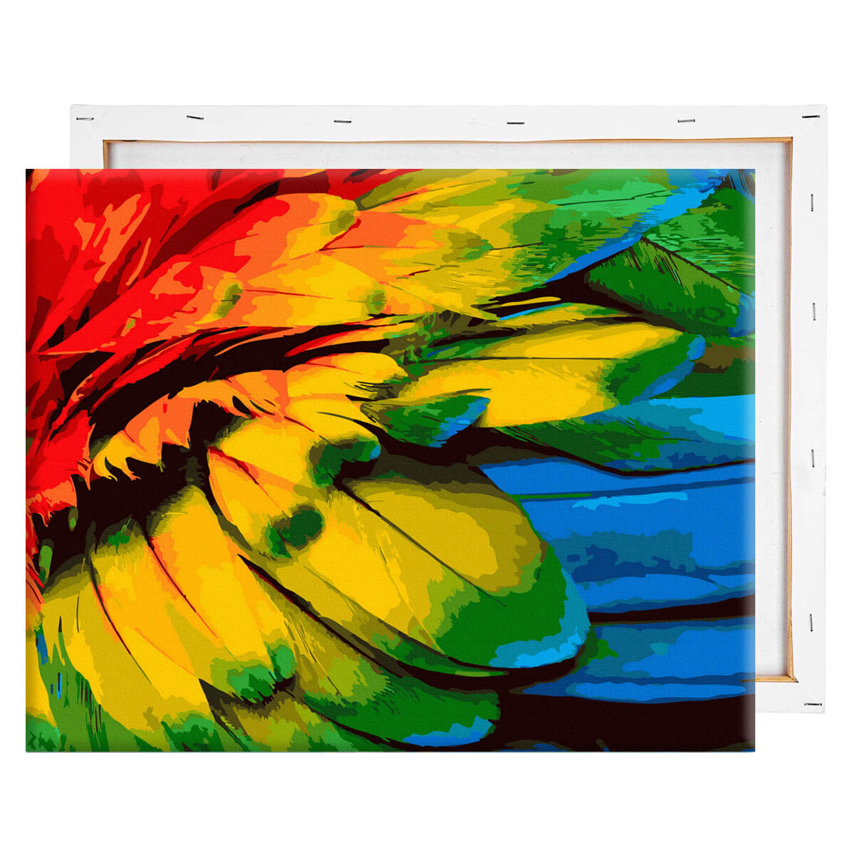 Schilderen-op-nummer-volwassenen-painting-by-number-colourful-feathers