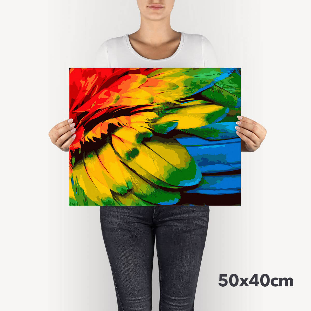 Schilderen-op-nummer-volwassenen-painting-by-number-colourful-feathers