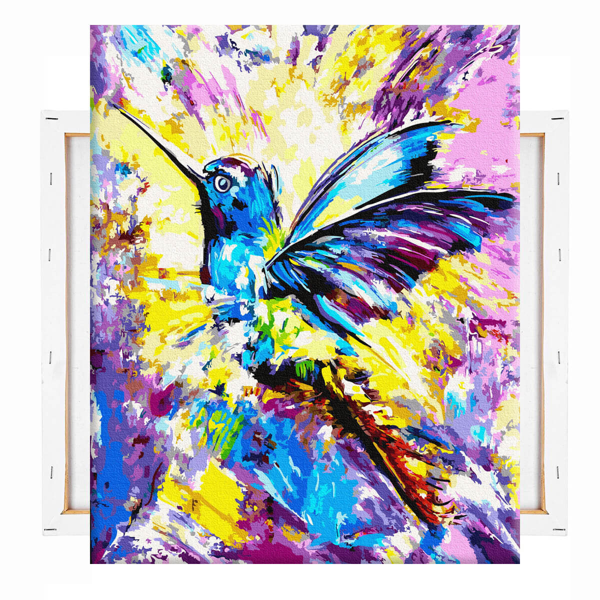 schilderen-op-nummers-painting-by-numbers-kolibrie