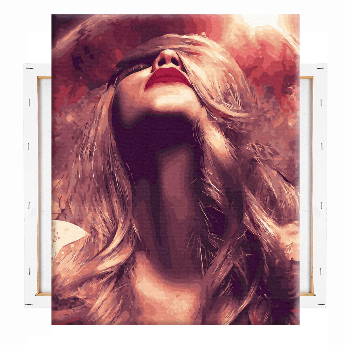 Schilderen-op-nummer-volwassenen-painting-by-number-moon-girl