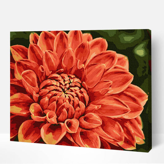 schilderen-op-nummers-painting-by-numbers-dahlia