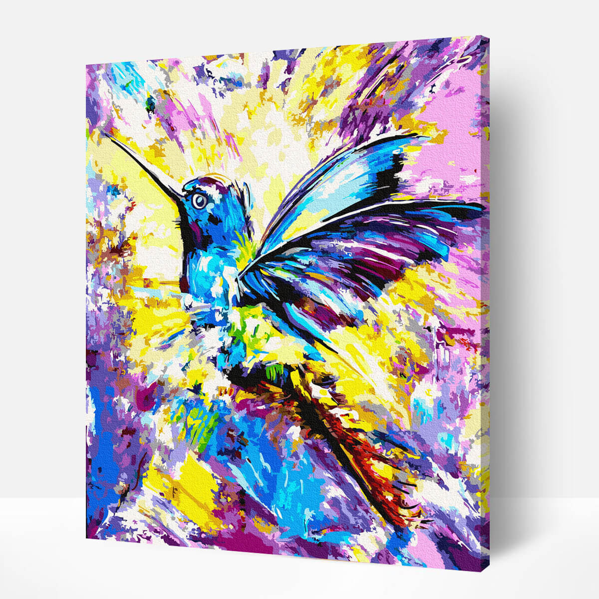 schilderen-op-nummers-painting-by-numbers-kolibrie