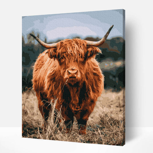 schilderen-op-nummers-painting-by-numbers-Schotse-hooglander