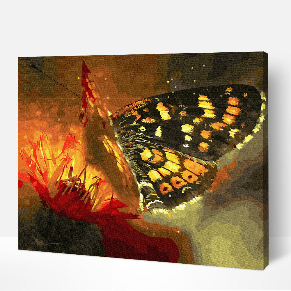 Schilderen-op-nummer-volwassenen-painting-by-number-vlinder