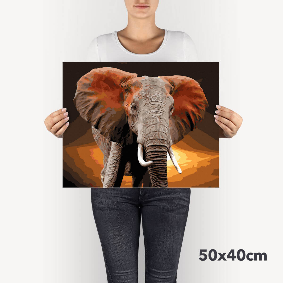 Schilderen-op-nummer-volwassenen-painting-by-number-african-elephant
