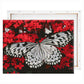 schilderen-op-nummers-painting-by-numbers-zwart-witte-vlinder