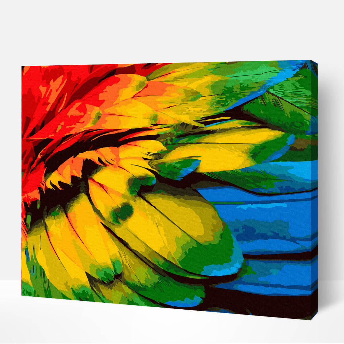 Schilderen-op-nummer-volwassenen-painting-by-number-colourful-feathers
