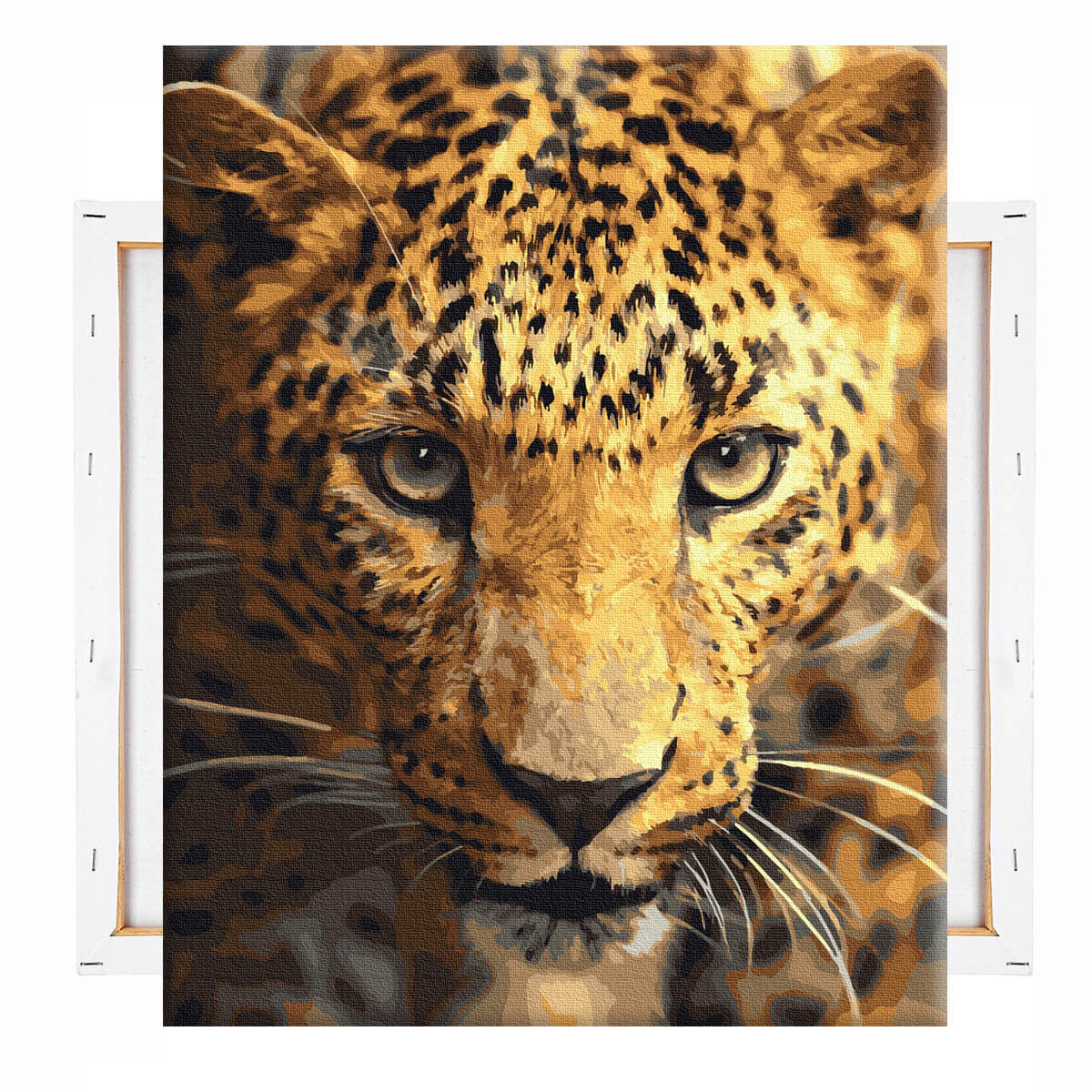 schilderen-op-nummers-painting-by-numbers-gouden-jaguar