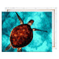 Schilderen-op-nummer-volwassenen-painting-by-number-sea-turtle