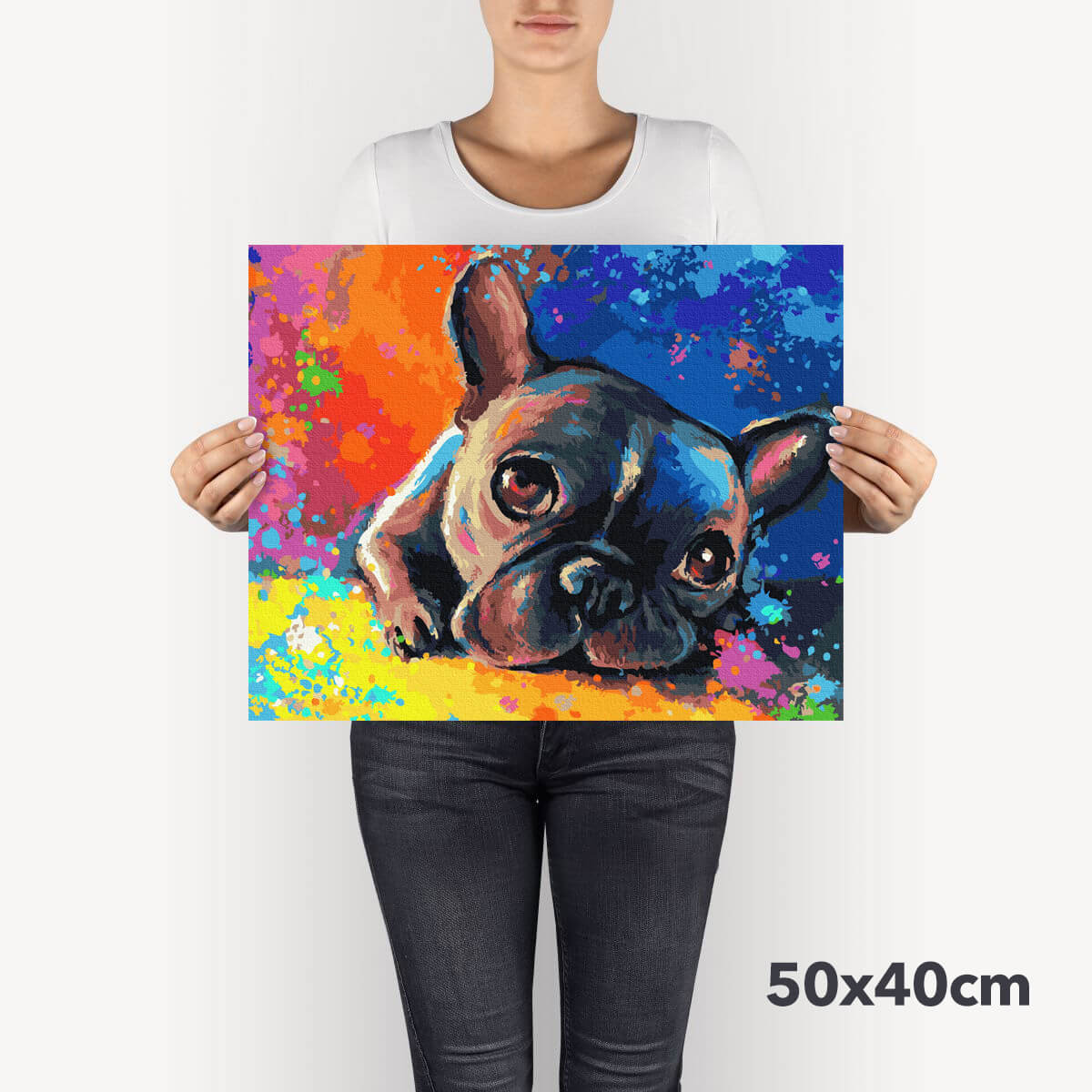 Schilderen-op-nummer-volwassenen-painting-by-number-french-bulldog
