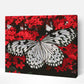 schilderen-op-nummers-painting-by-numbers-zwart-witte-vlinder